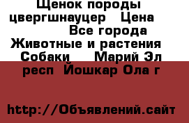 Щенок породы  цвергшнауцер › Цена ­ 30 000 - Все города Животные и растения » Собаки   . Марий Эл респ.,Йошкар-Ола г.